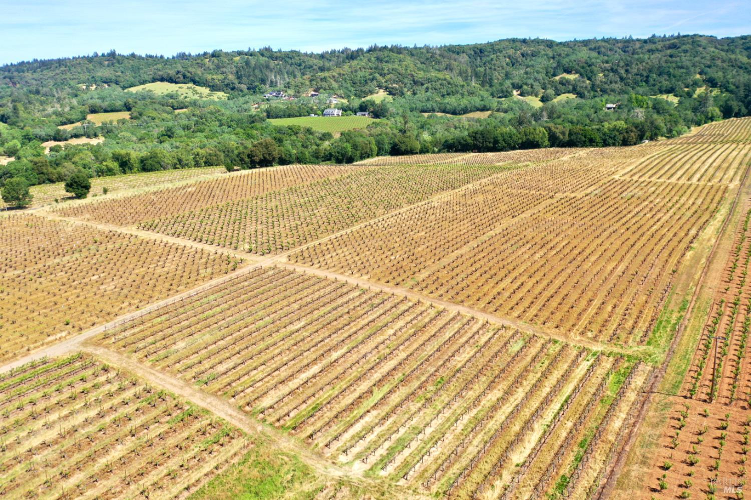 5143 Dry Creek Road