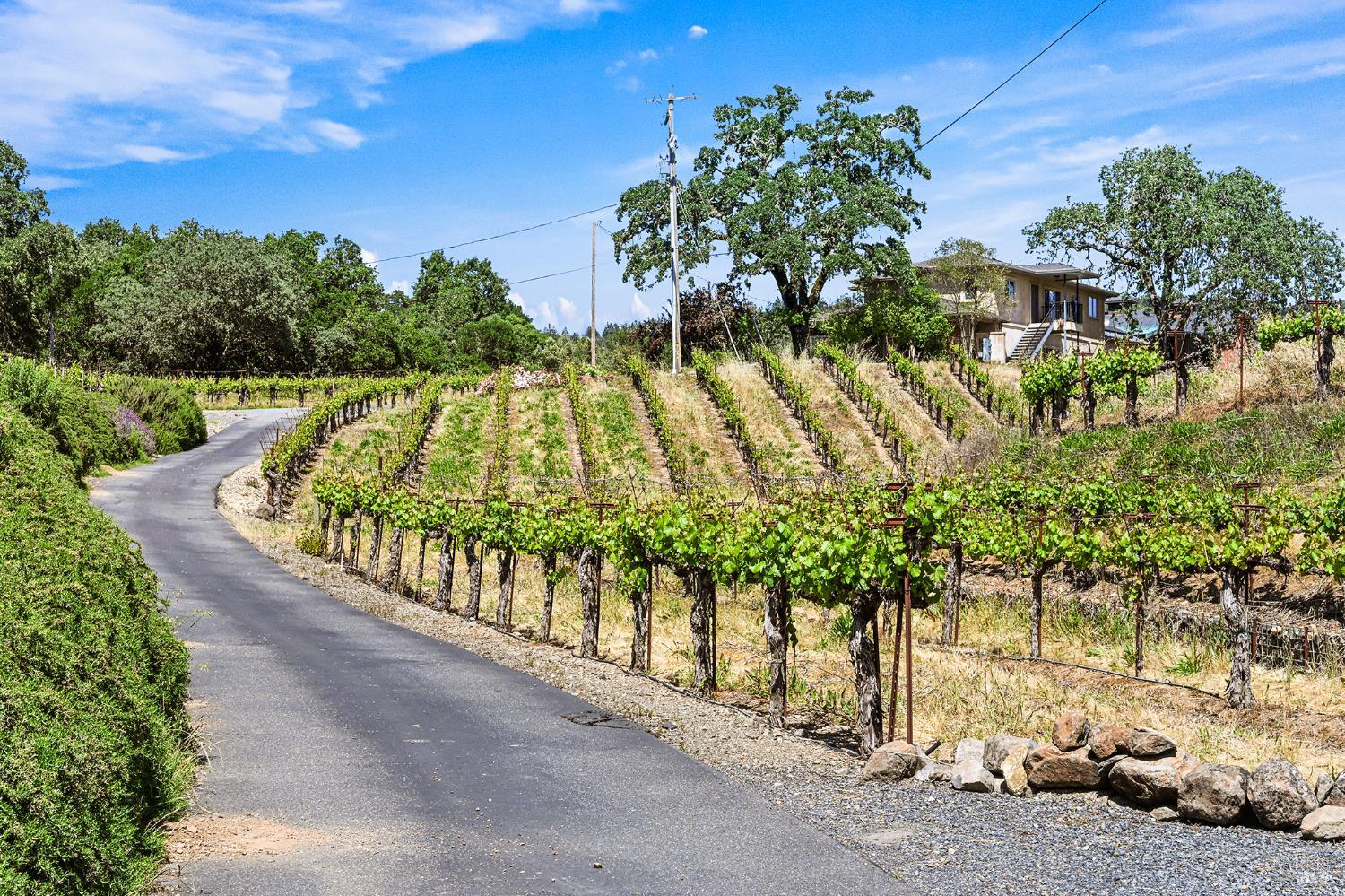 5143 Dry Creek Road