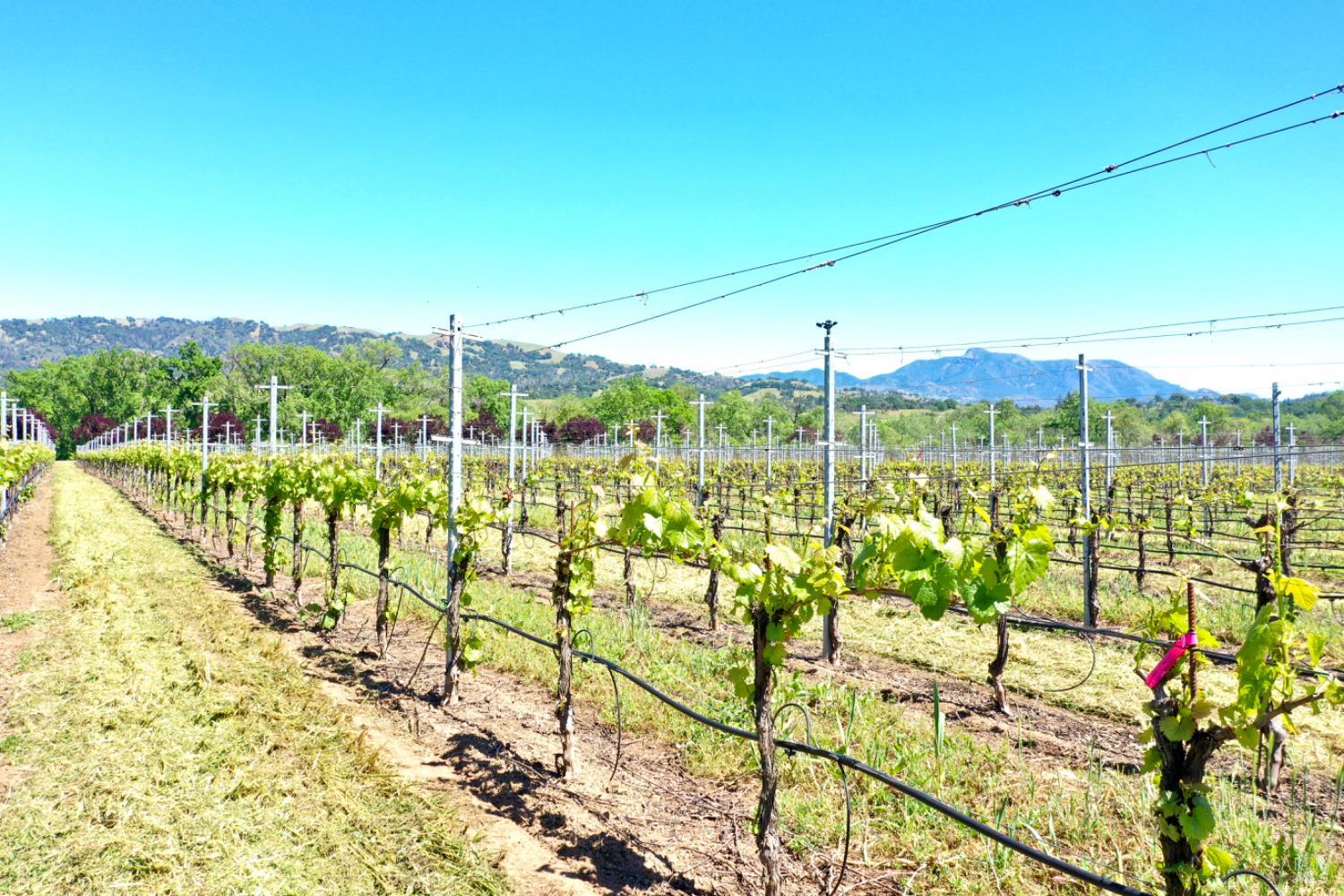 5520 W Soda Rock Lane