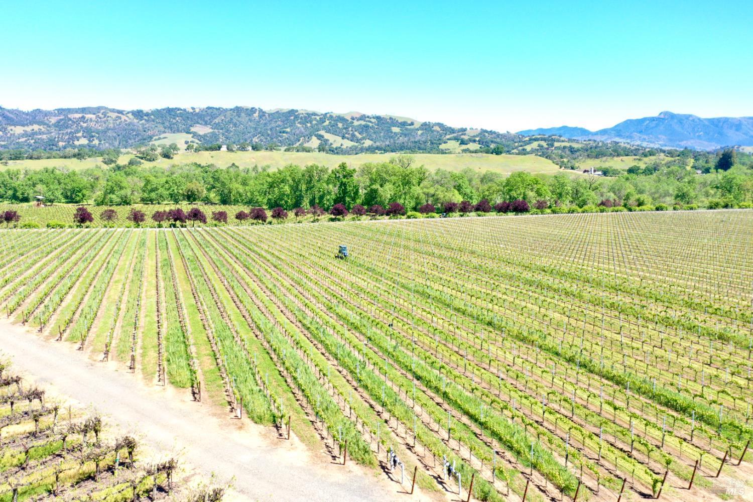 5520 W Soda Rock Lane