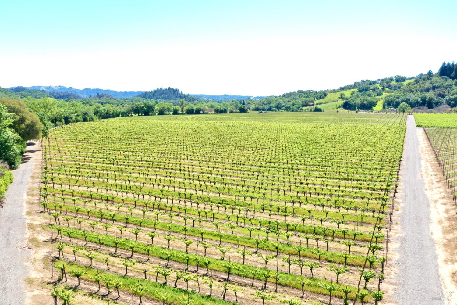 5520 W Soda Rock Lane