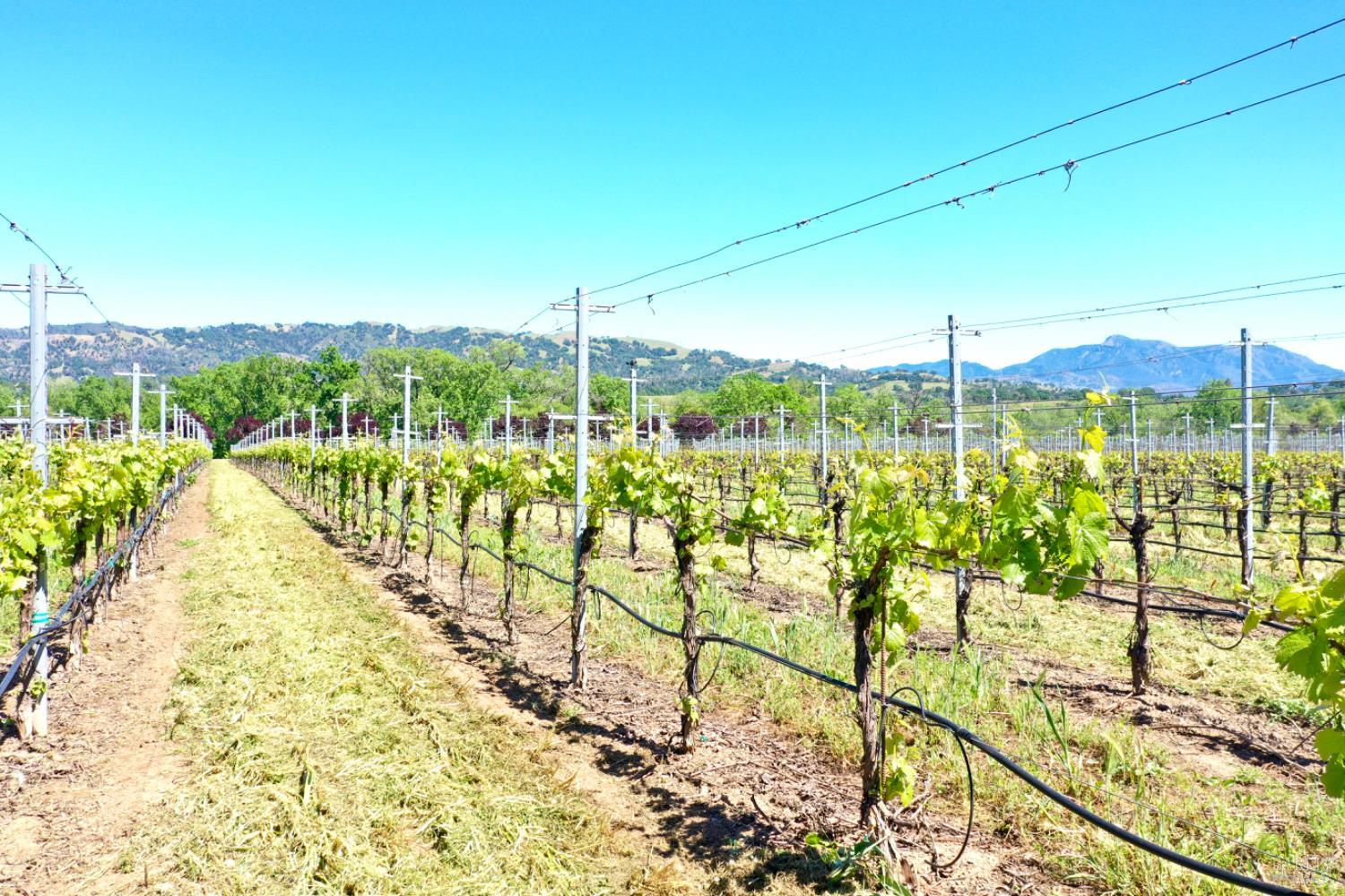 5520 W Soda Rock Lane