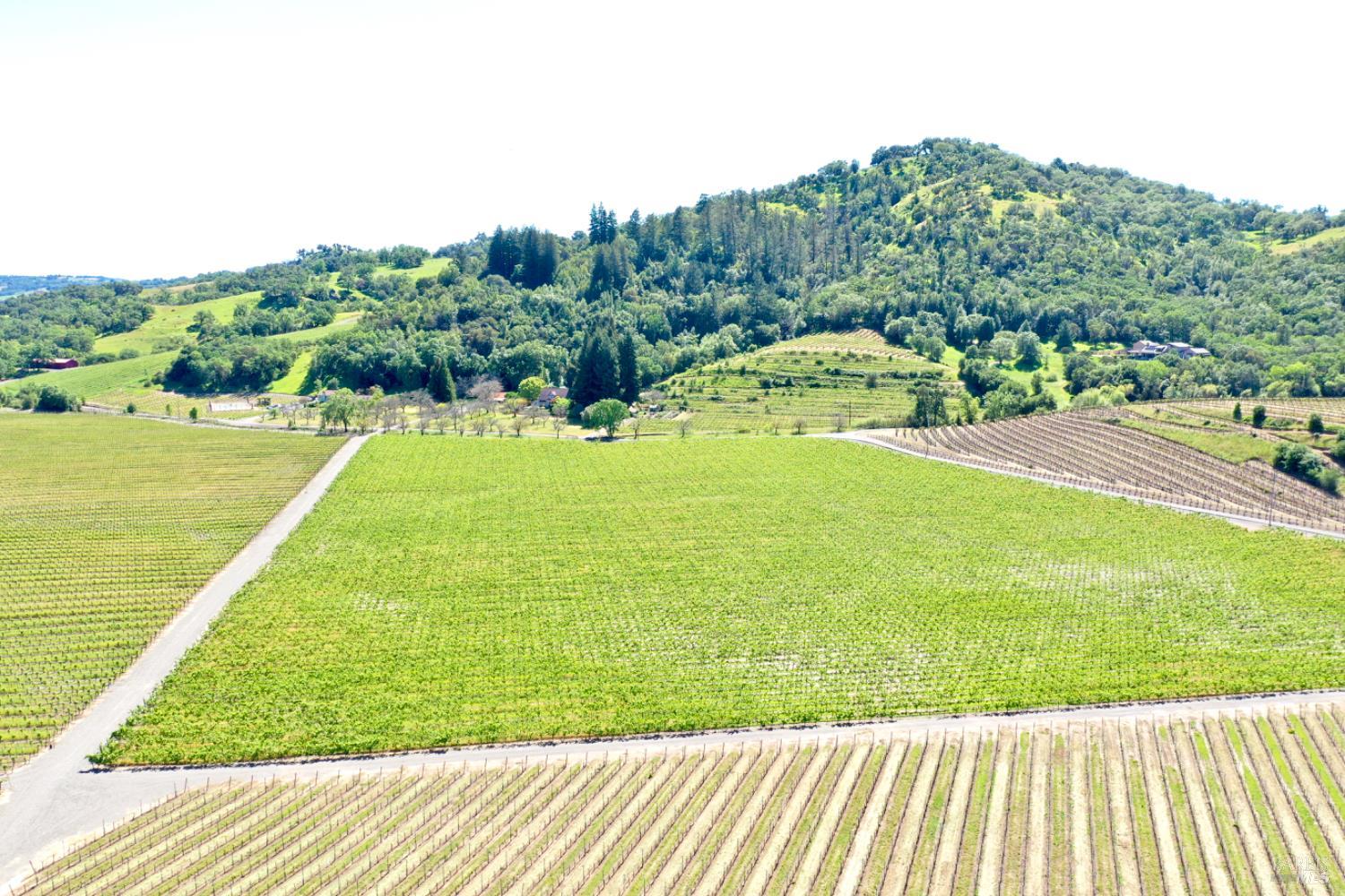 5520 W Soda Rock Lane