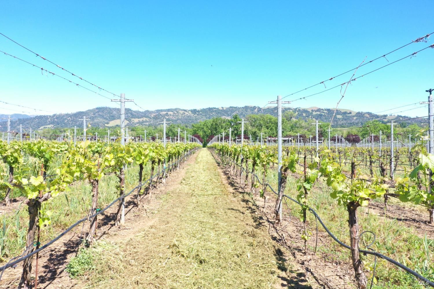 5520 W Soda Rock Lane