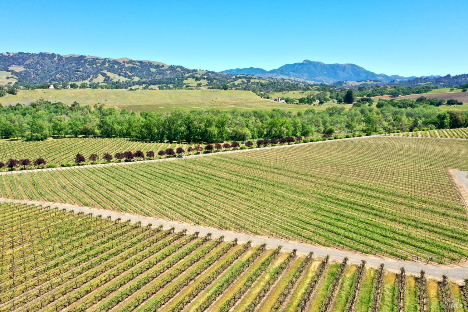 5520 W Soda Rock Lane