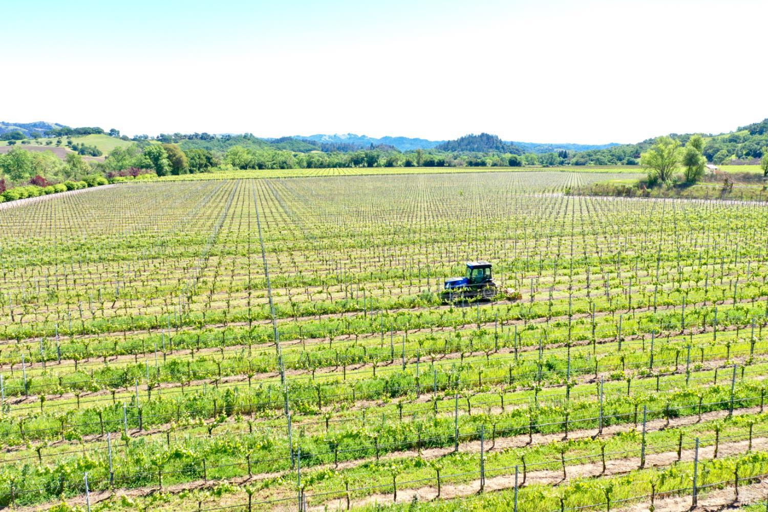 5520 W Soda Rock Lane