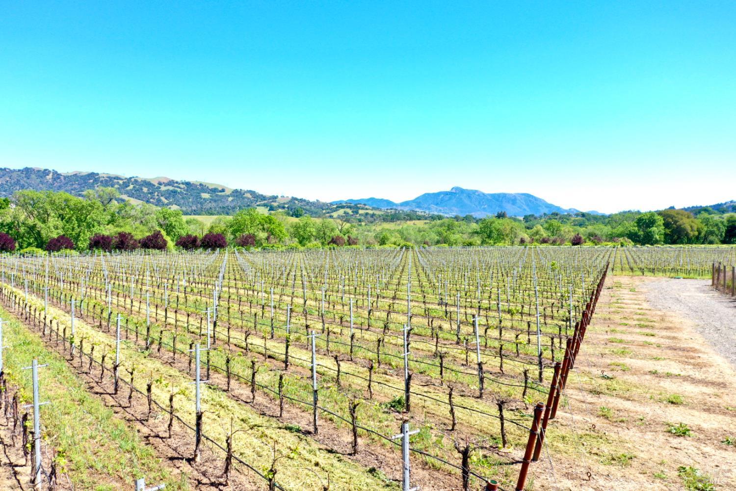 5520 W Soda Rock Lane