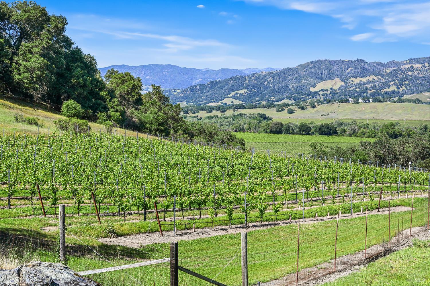 5520 W Soda Rock Lane