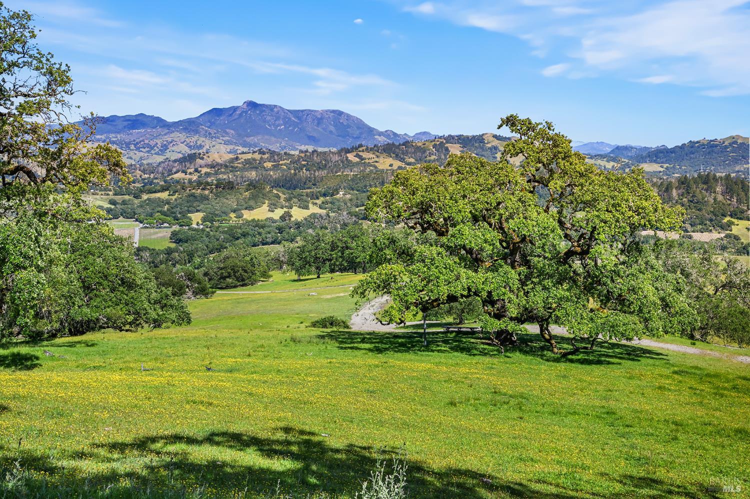 5520 W Soda Rock Lane