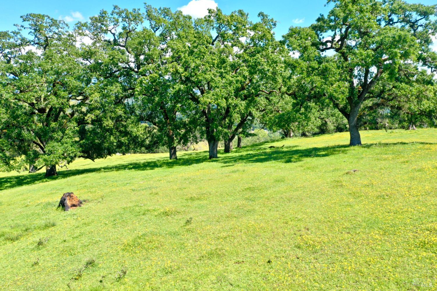 5520 W Soda Rock Lane