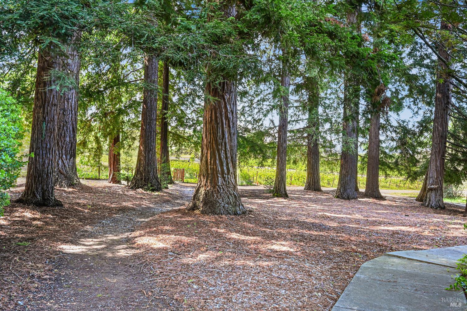 5520 W Soda Rock Lane