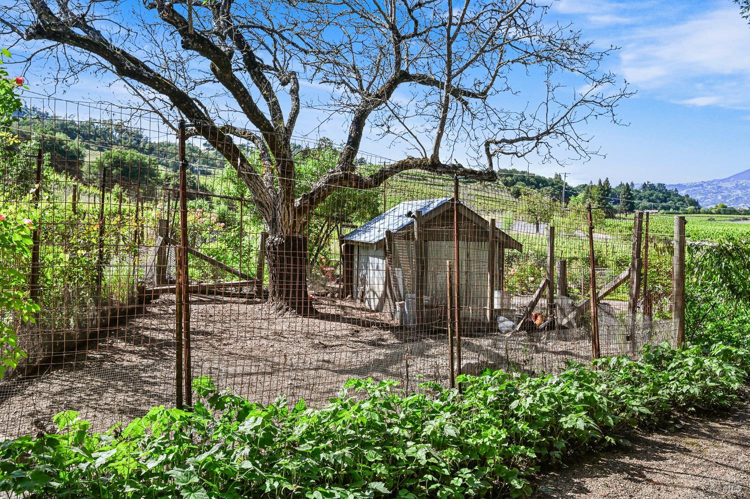 5520 W Soda Rock Lane