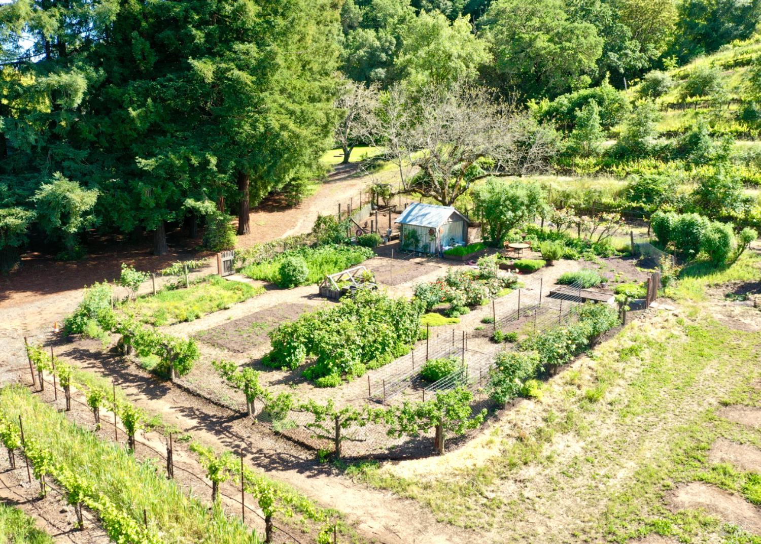 5520 W Soda Rock Lane