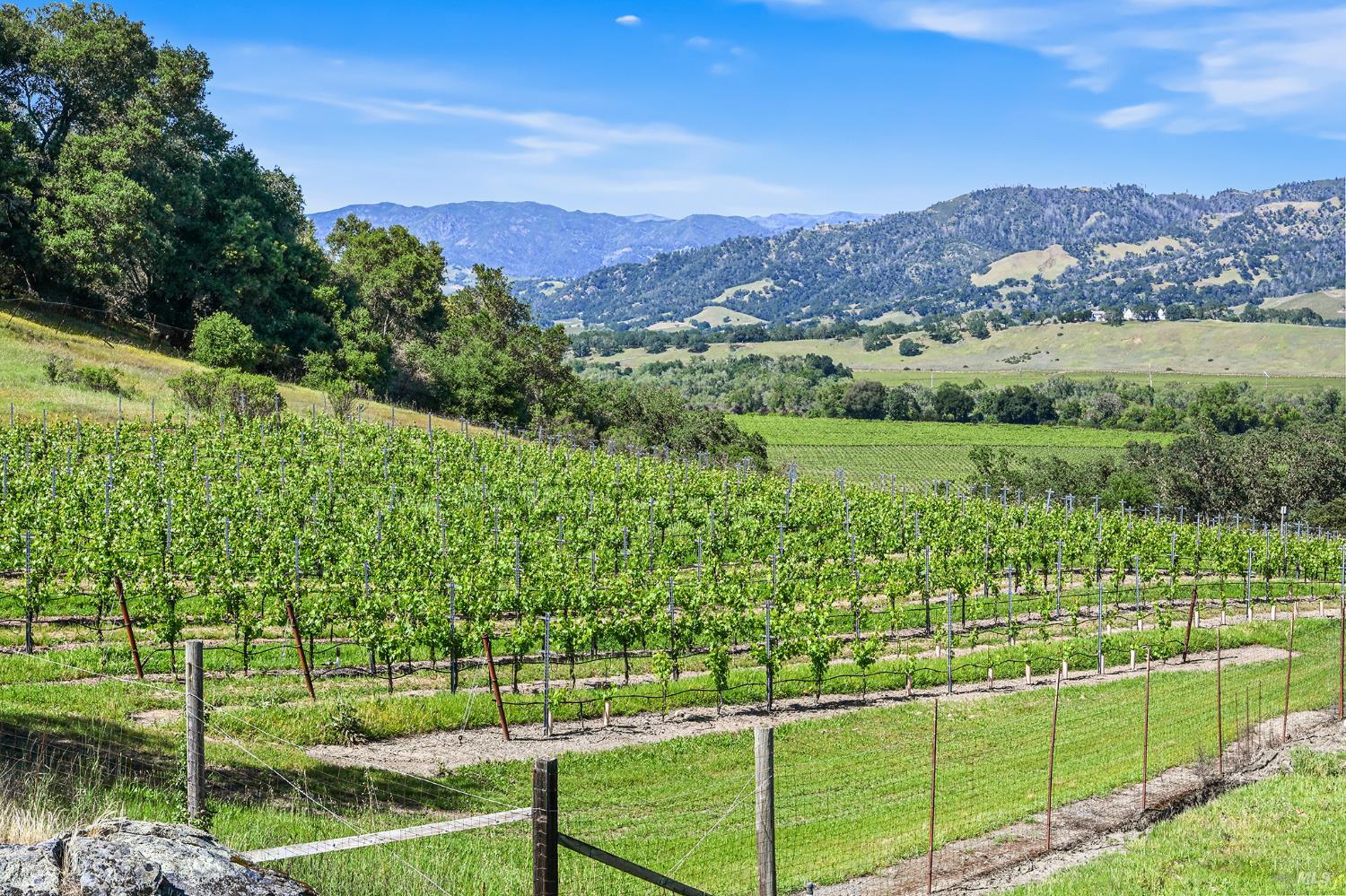 5520 W Soda Rock Lane