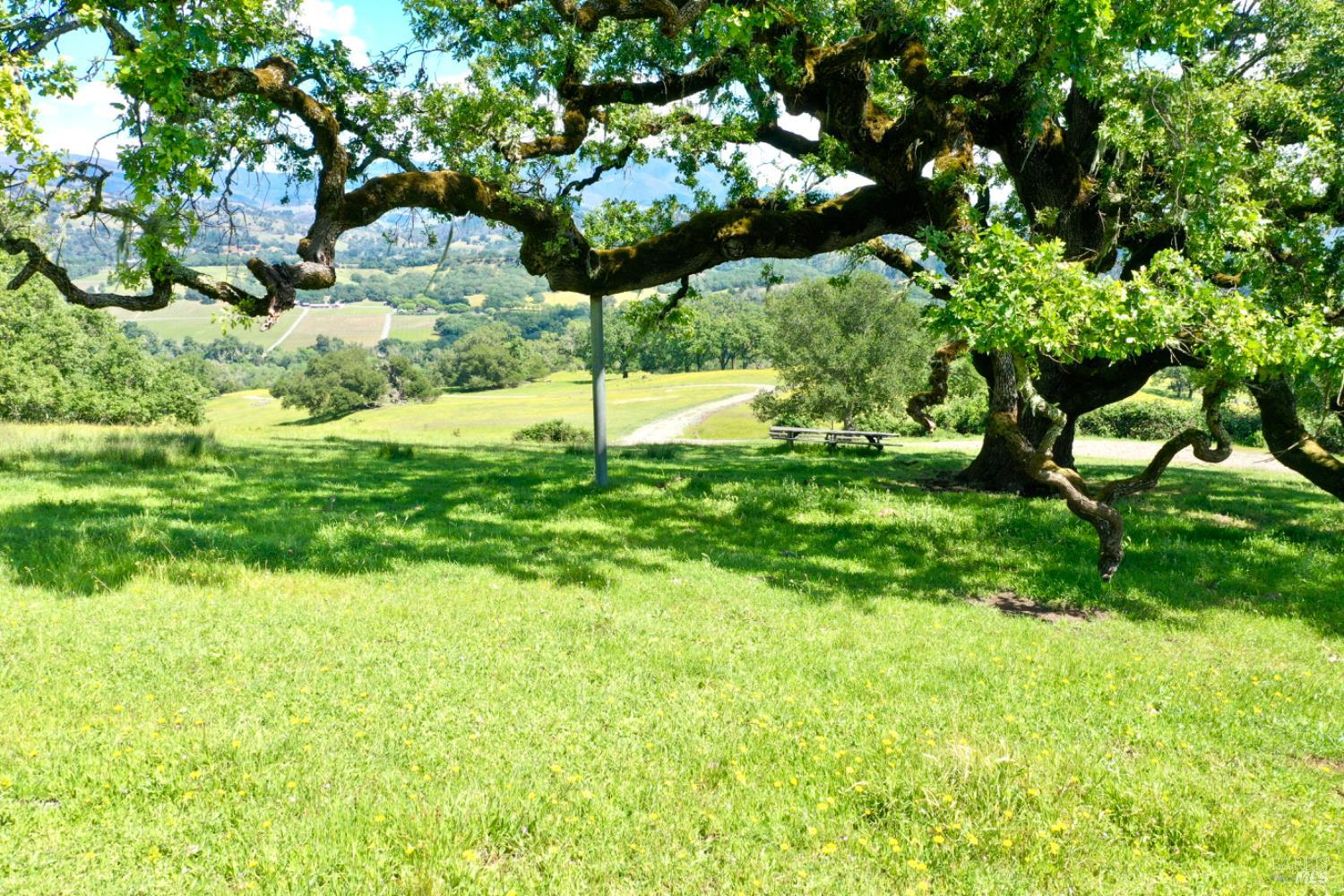 5520 W Soda Rock Lane