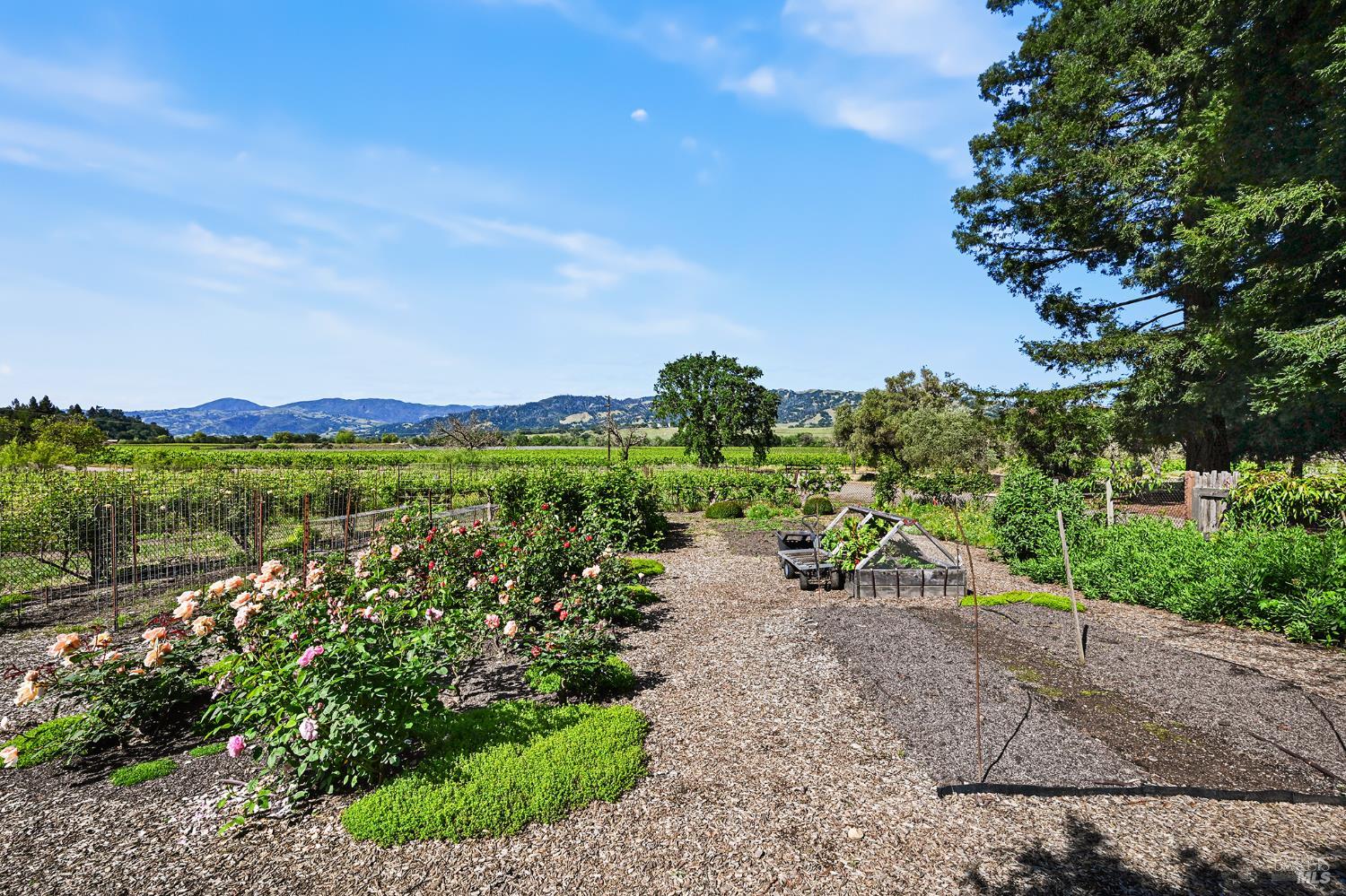 5520 W Soda Rock Lane