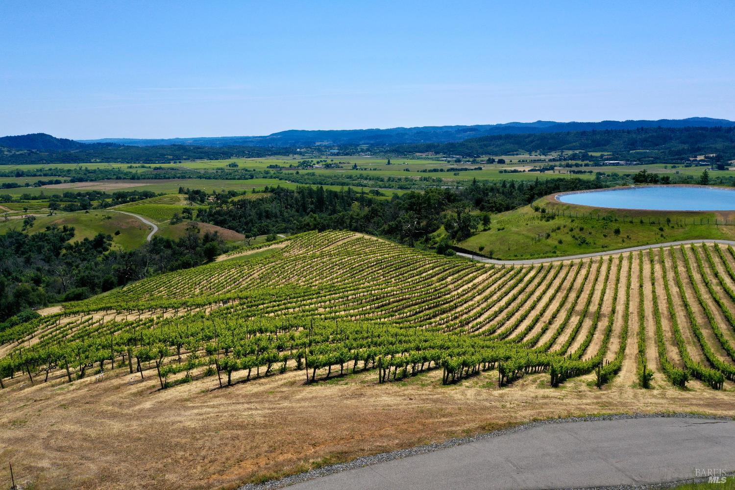 Vineyard rows overlook a green valley and distant hills, with a small reservoir nearby.