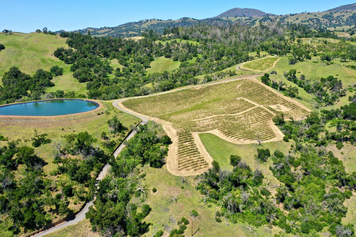 Aerial view of vineyard rows and a pond, with wooded hills and mountains beyond.