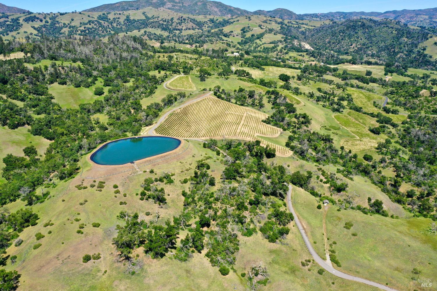 Aerial view of vineyard rows and a blue pond amid rolling hills and open land.