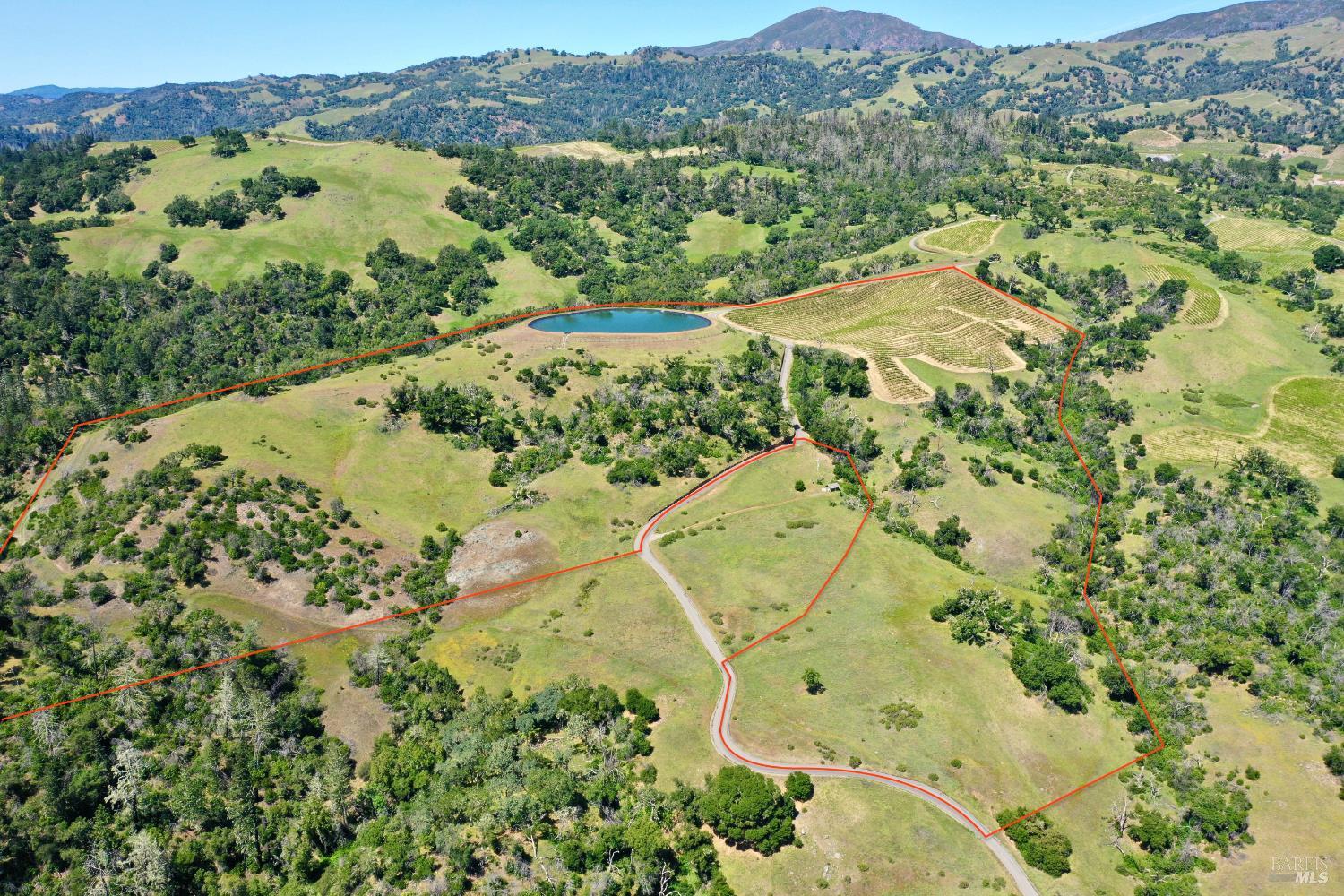 Aerial view of rolling property with vineyard rows, a pond, and red boundary lines.