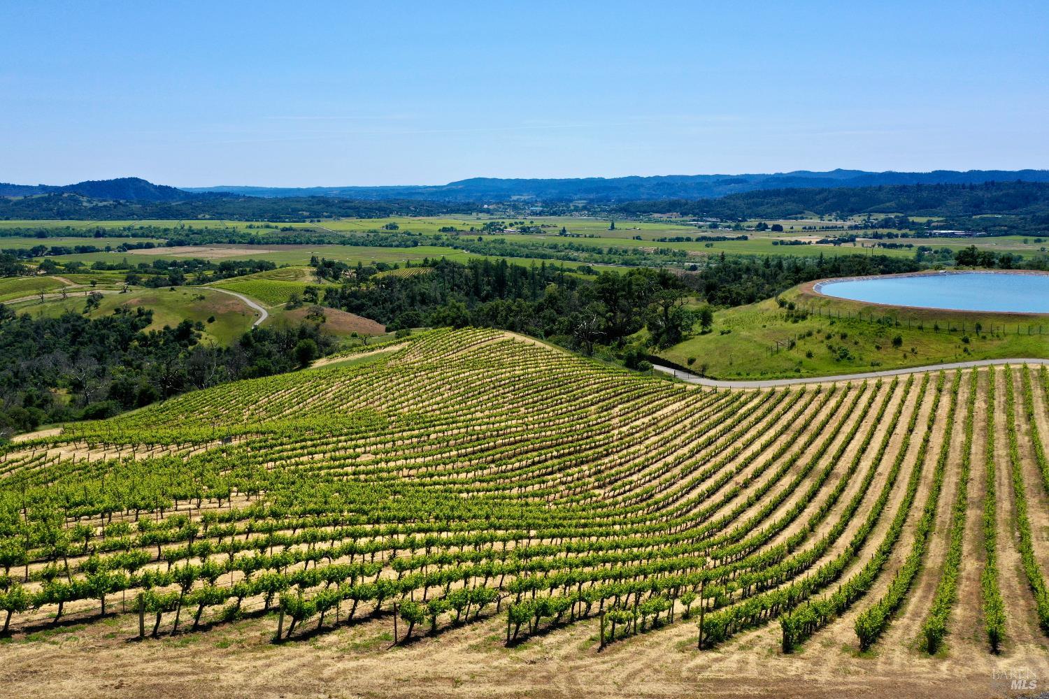 Vineyard rows sweep across rolling countryside toward distant hills and a reservoir.