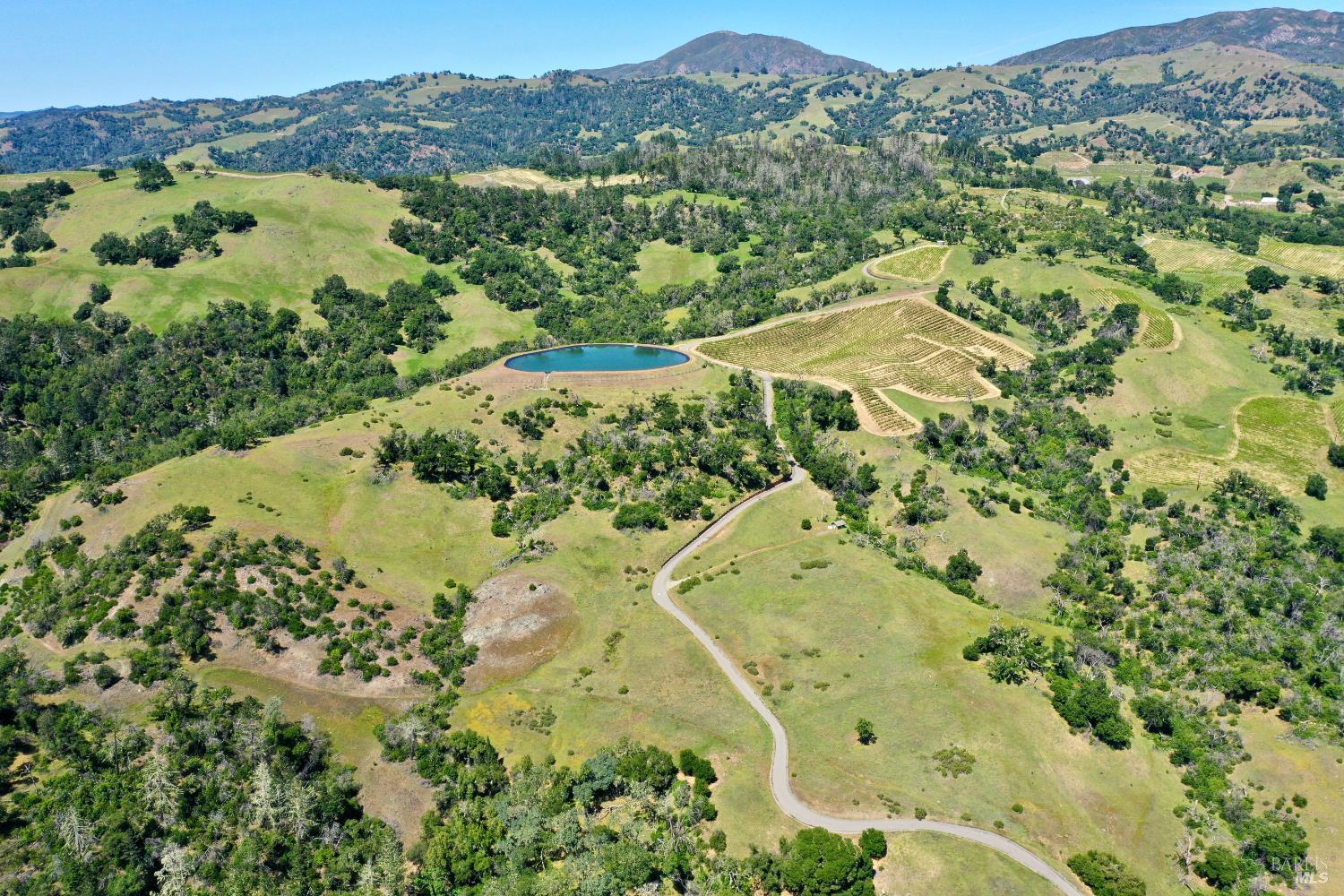 Aerial view of vineyards and rolling hills, with a pond and winding road.