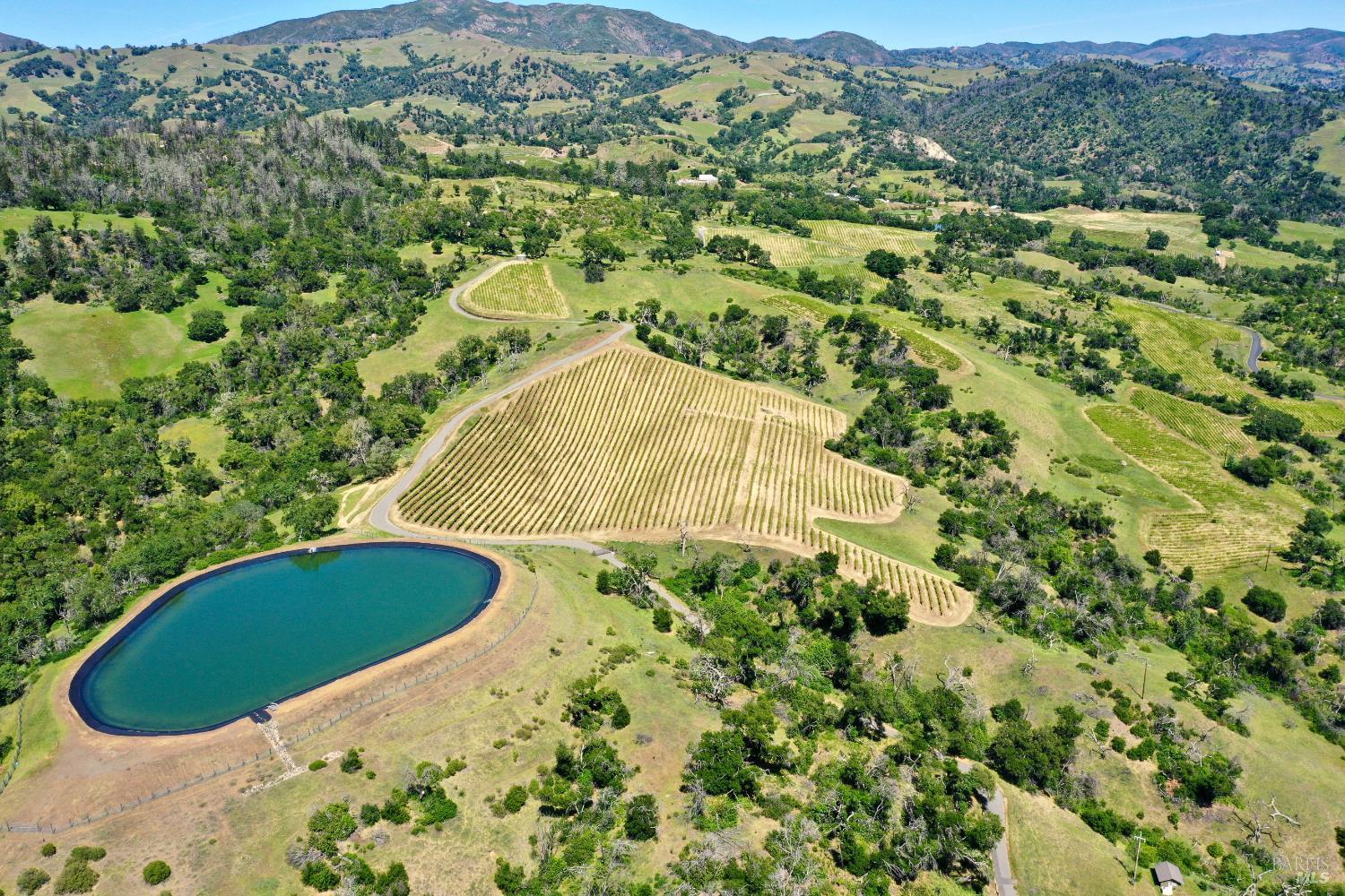 Aerial vineyard with a large reservoir, rolling hills, and distant mountains.