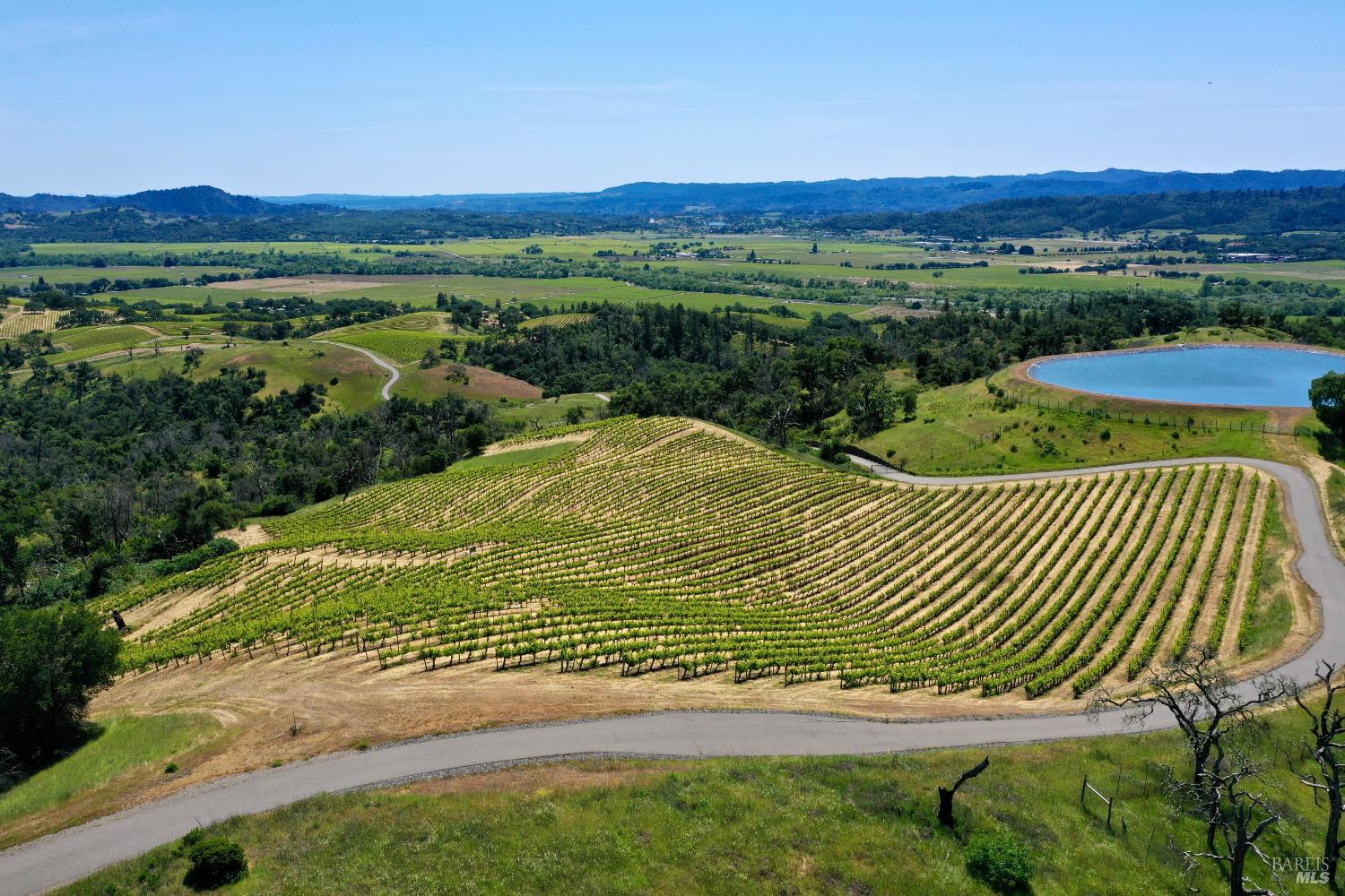Aerial view of vineyard rows, a winding road, and a pond overlooking a green valley.