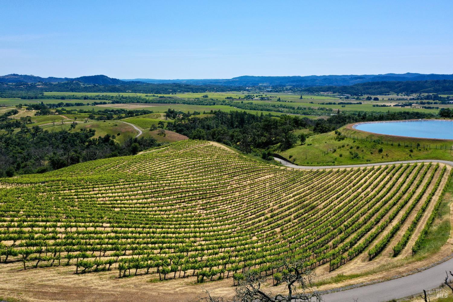 Vineyard rows curve across a hillside, with a reservoir and rolling farmland beyond.