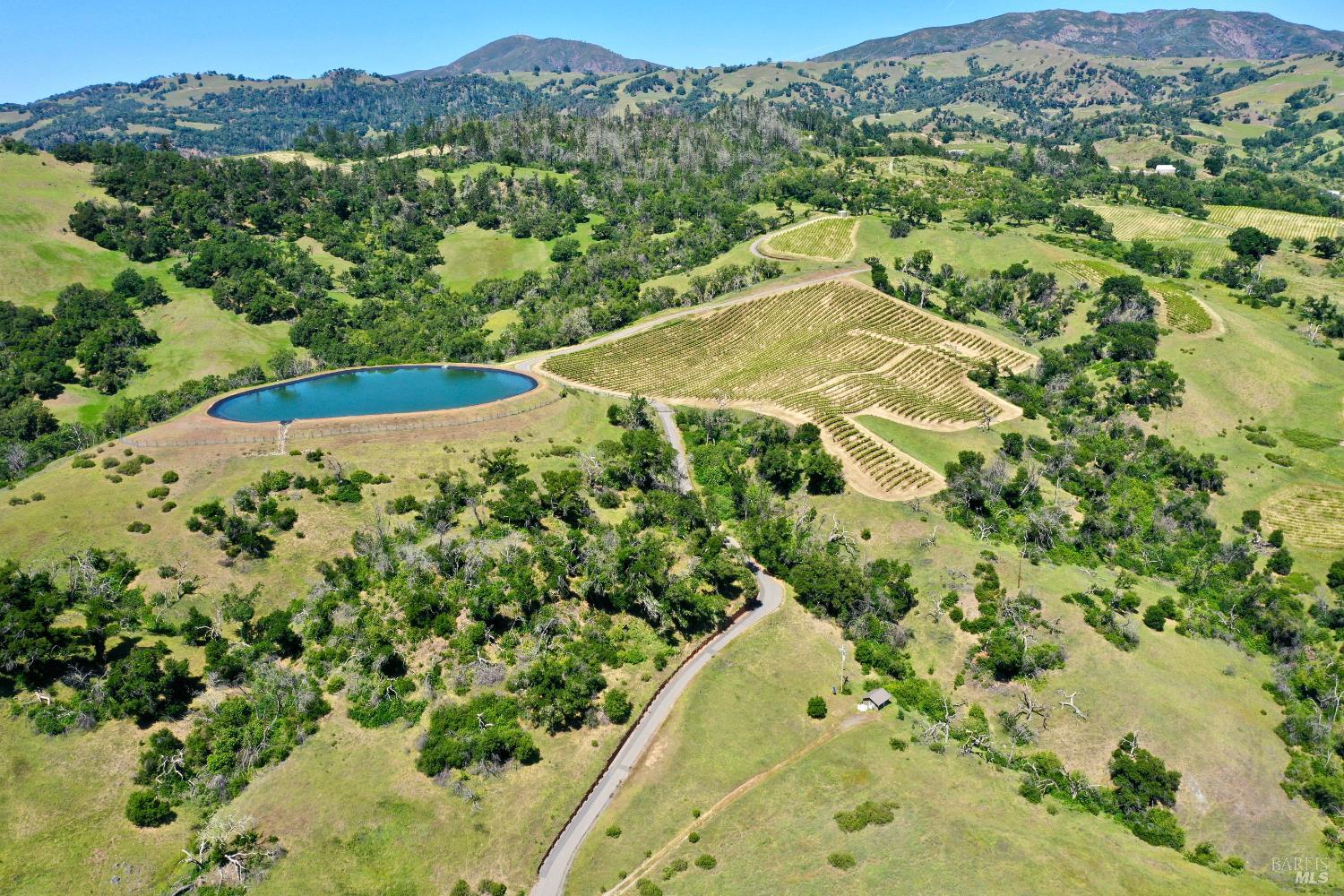 Aerial view of vineyard rows, a pond, and rolling hills surrounding the property.