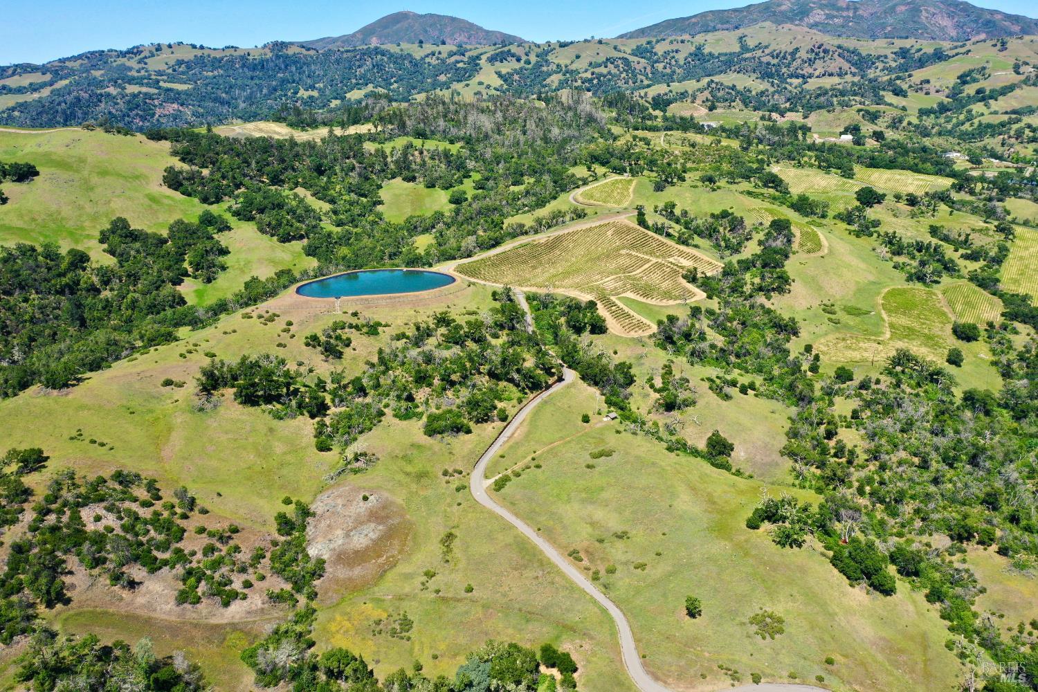 Aerial view of vineyard acreage with a pond, winding drive, and surrounding hills.