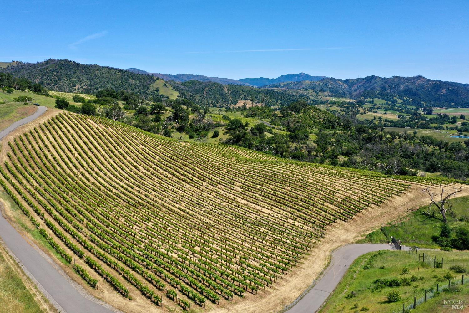 Aerial view of vineyard rows across a hillside, with green hills and distant mountains.