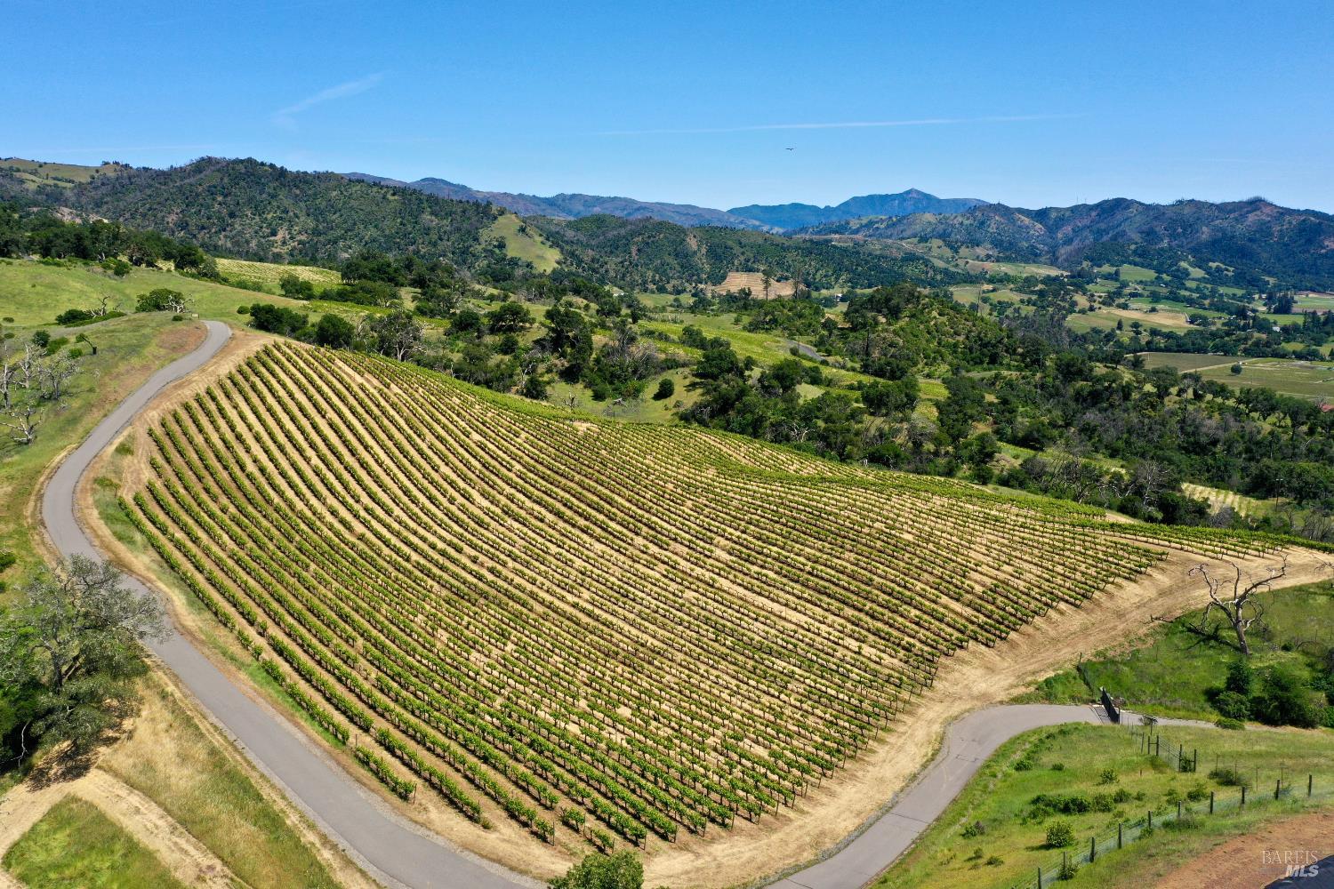Aerial view of vineyard rows beside a winding road, with rolling hills and distant mountains.