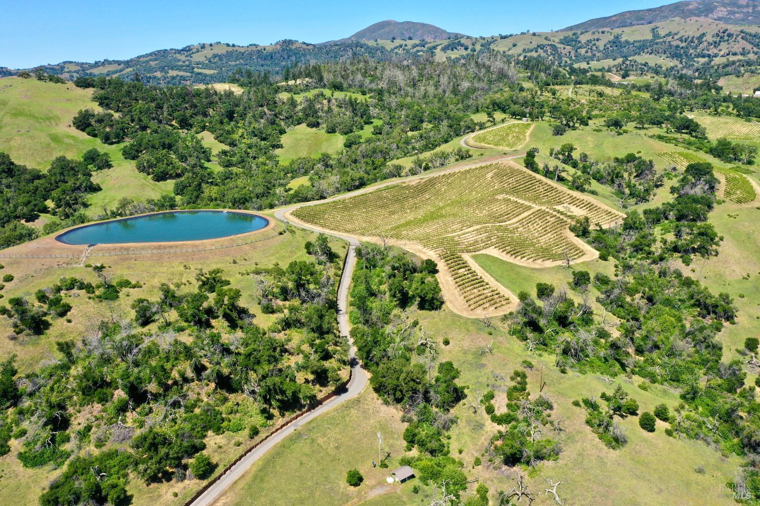 Aerial view of vineyard rows and a pond amid rolling, wooded hills.