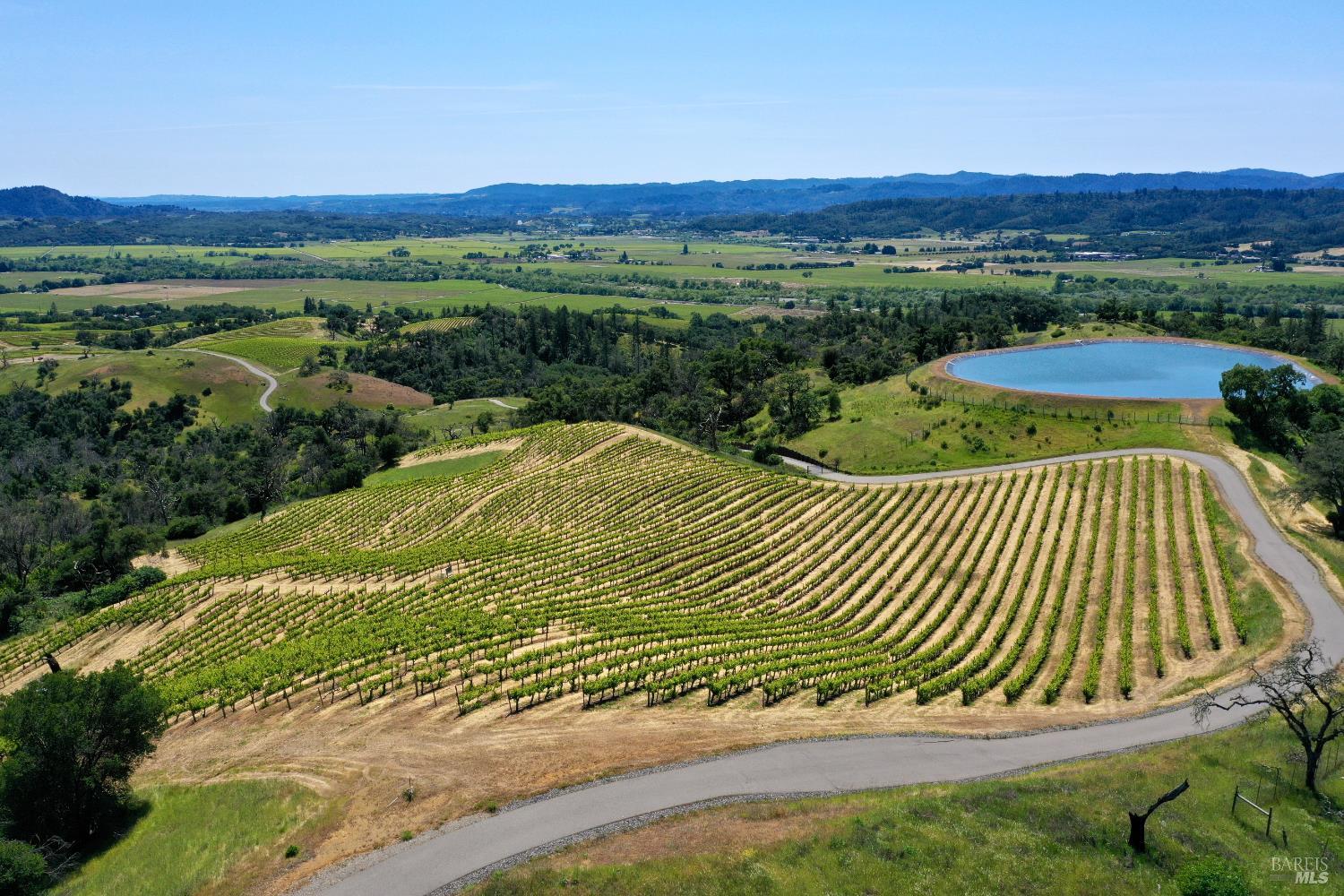 Aerial view of vineyard rows, a reservoir, and rolling hills near Geyserville.