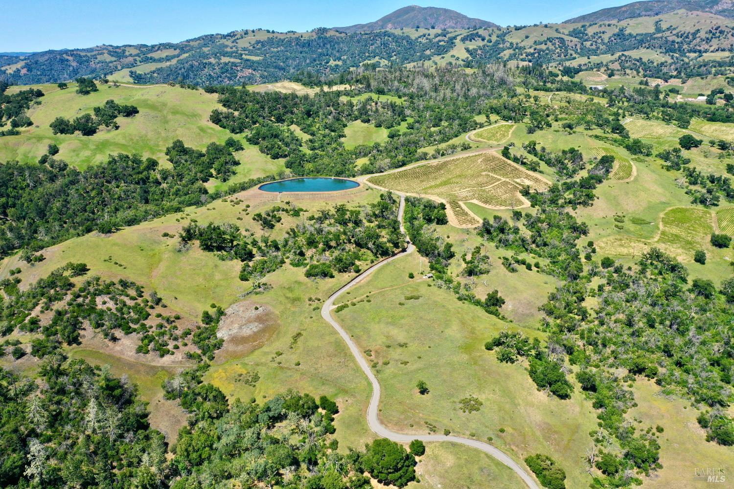 Aerial view of vineyard rows, a pond, winding drive, and surrounding green hills.