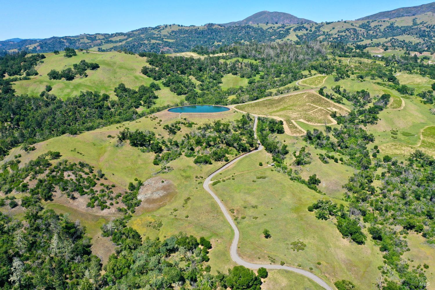 Aerial view of rolling property with vineyard rows, a pond, and wooded mountains.