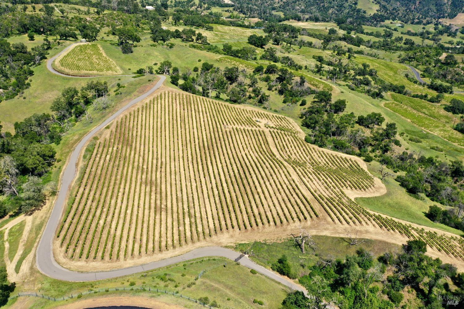 Aerial view of vineyard rows winding through green hills and rural roads.