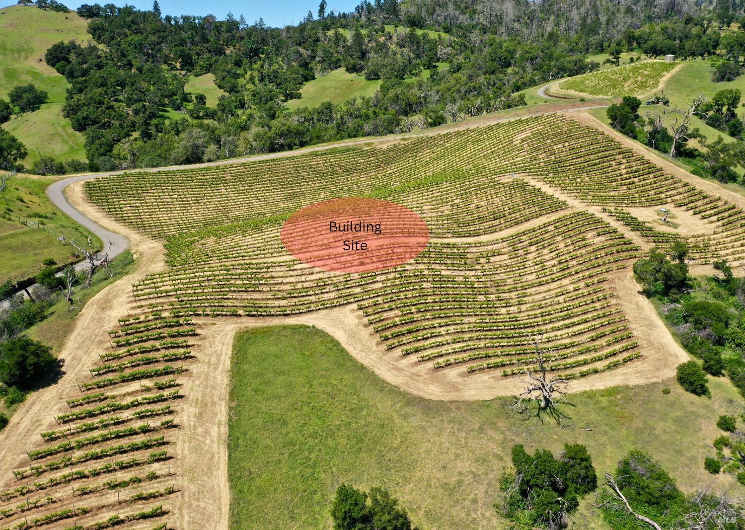 Aerial view of vineyard rows with a highlighted building site and wooded hills beyond.