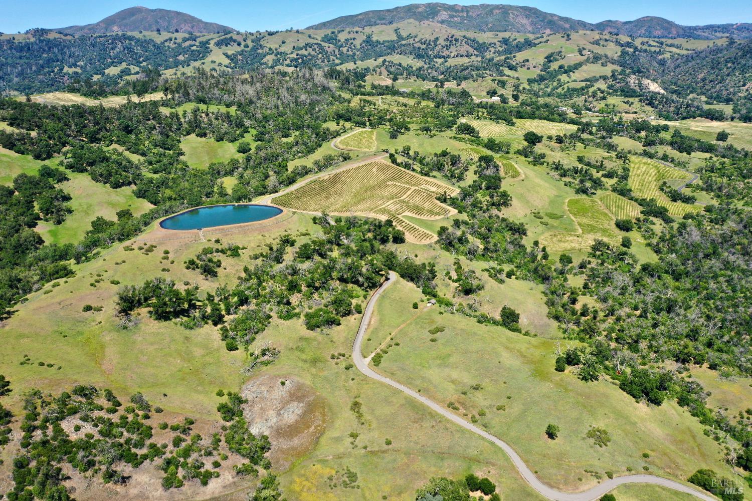 Aerial view of vineyard acreage with a pond, winding road, and mountain backdrop.