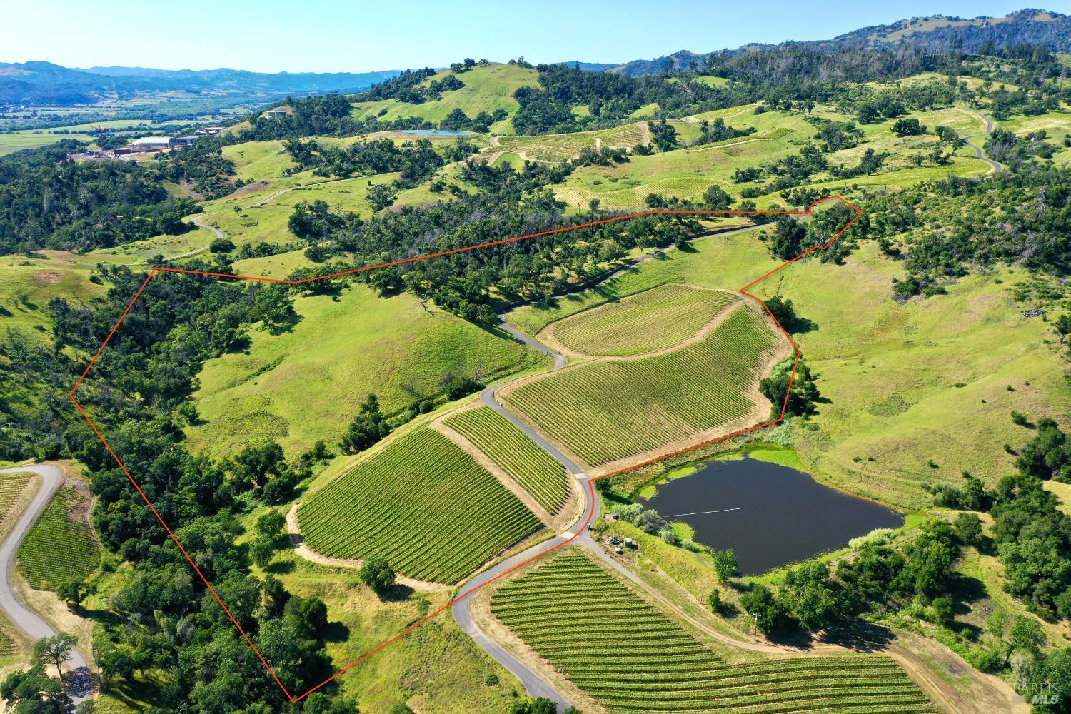Aerial view of vineyard acreage outlined in red, with rolling hills and a pond.