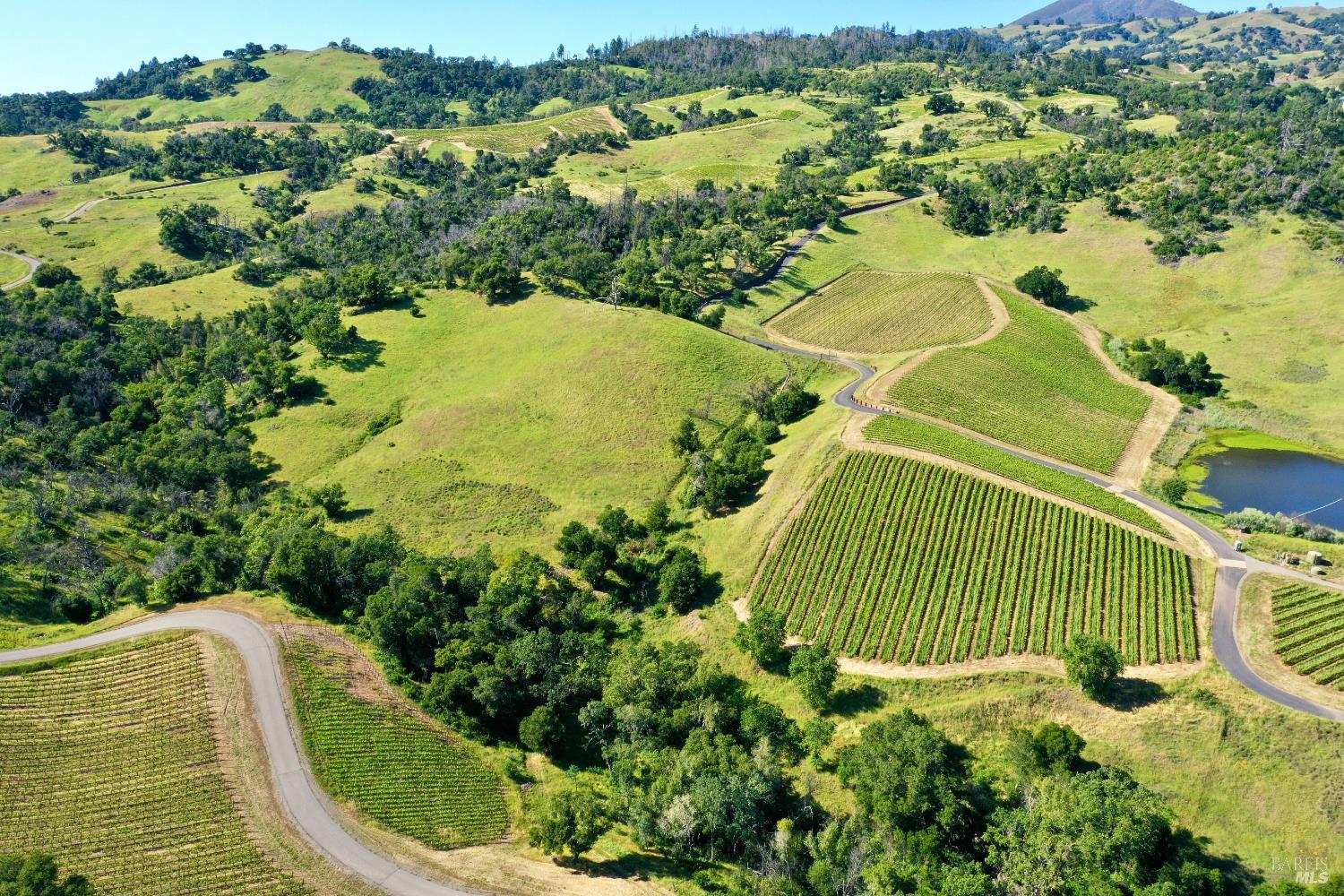 Aerial vineyard landscape with rows of grapevines, winding roads, rolling hills, and a small pond.