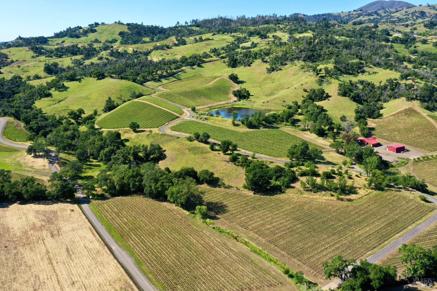 Aerial view of vineyard rows, a pond, and red farm buildings among rolling hills.