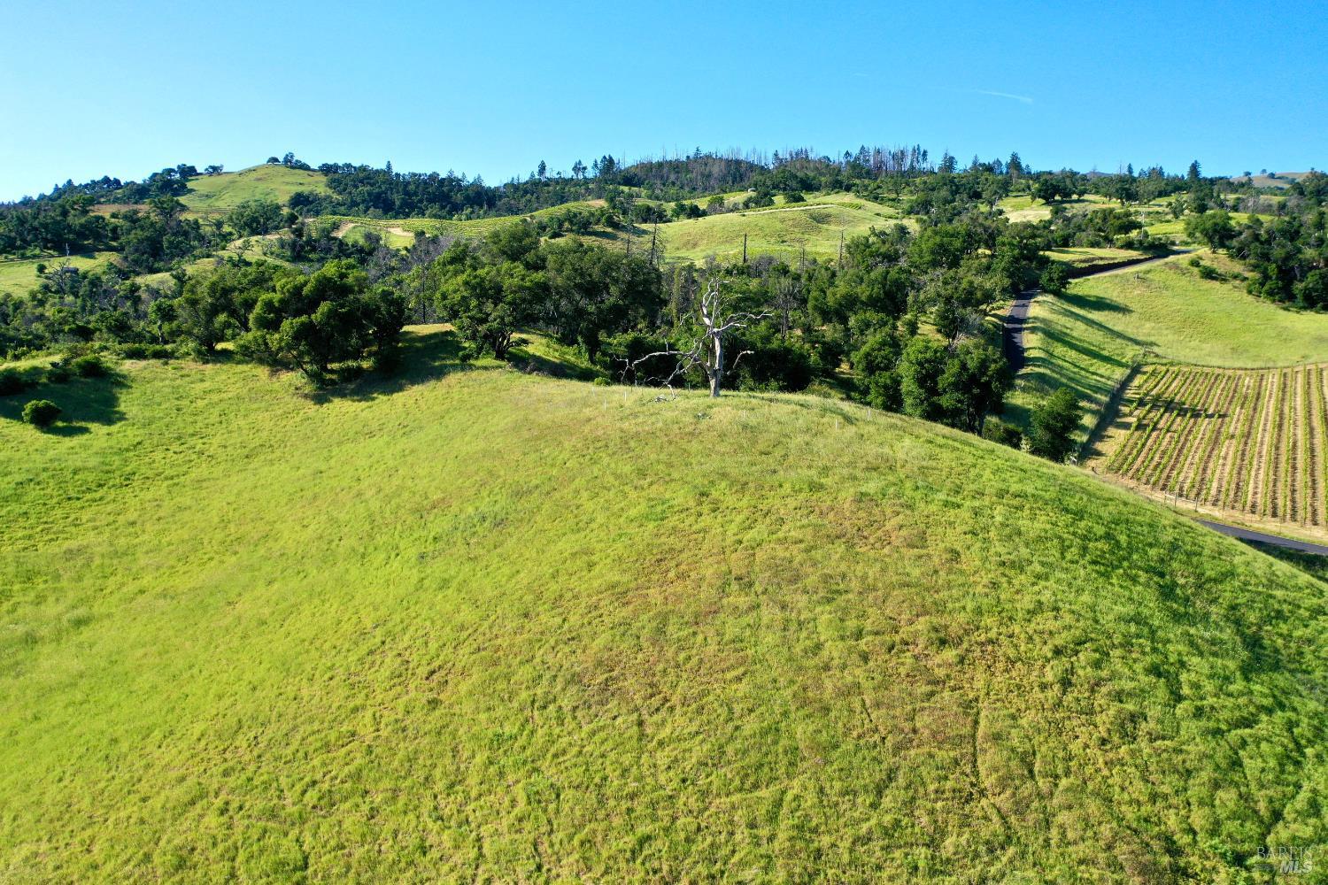 Aerial view of rolling green hills, vineyard rows, and a winding road.