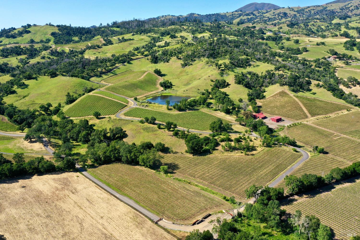 Aerial view of vineyard rows, a pond, and farm buildings among rolling hills.
