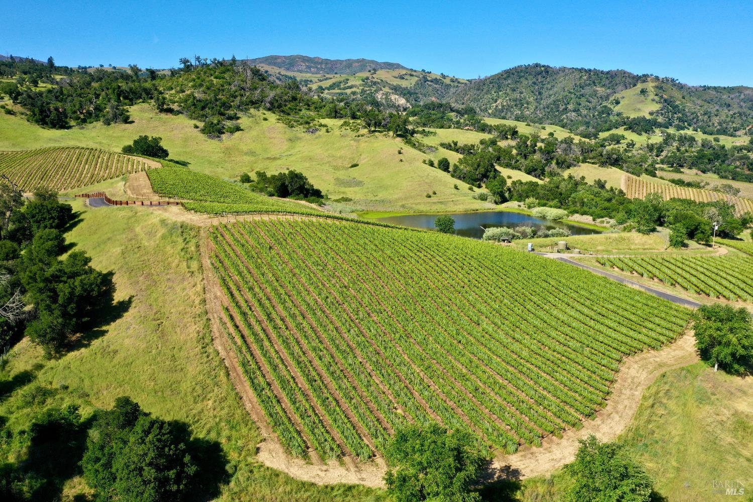 Aerial vineyard rows surround a pond, with rolling hills and wooded ridges beyond.