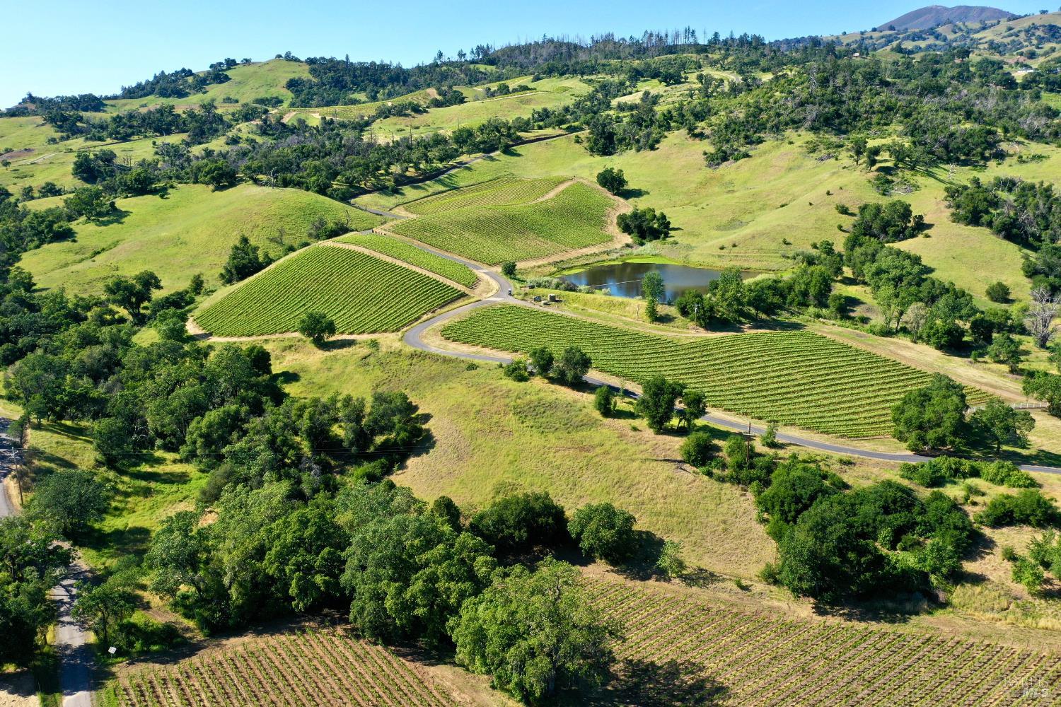 Aerial view of vineyard rows across rolling hills, with a small pond and distant hills.