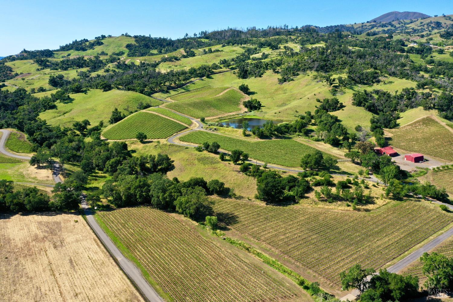 Aerial vineyard with rows of vines, a pond, farm roads, and red outbuildings among rolling hills.