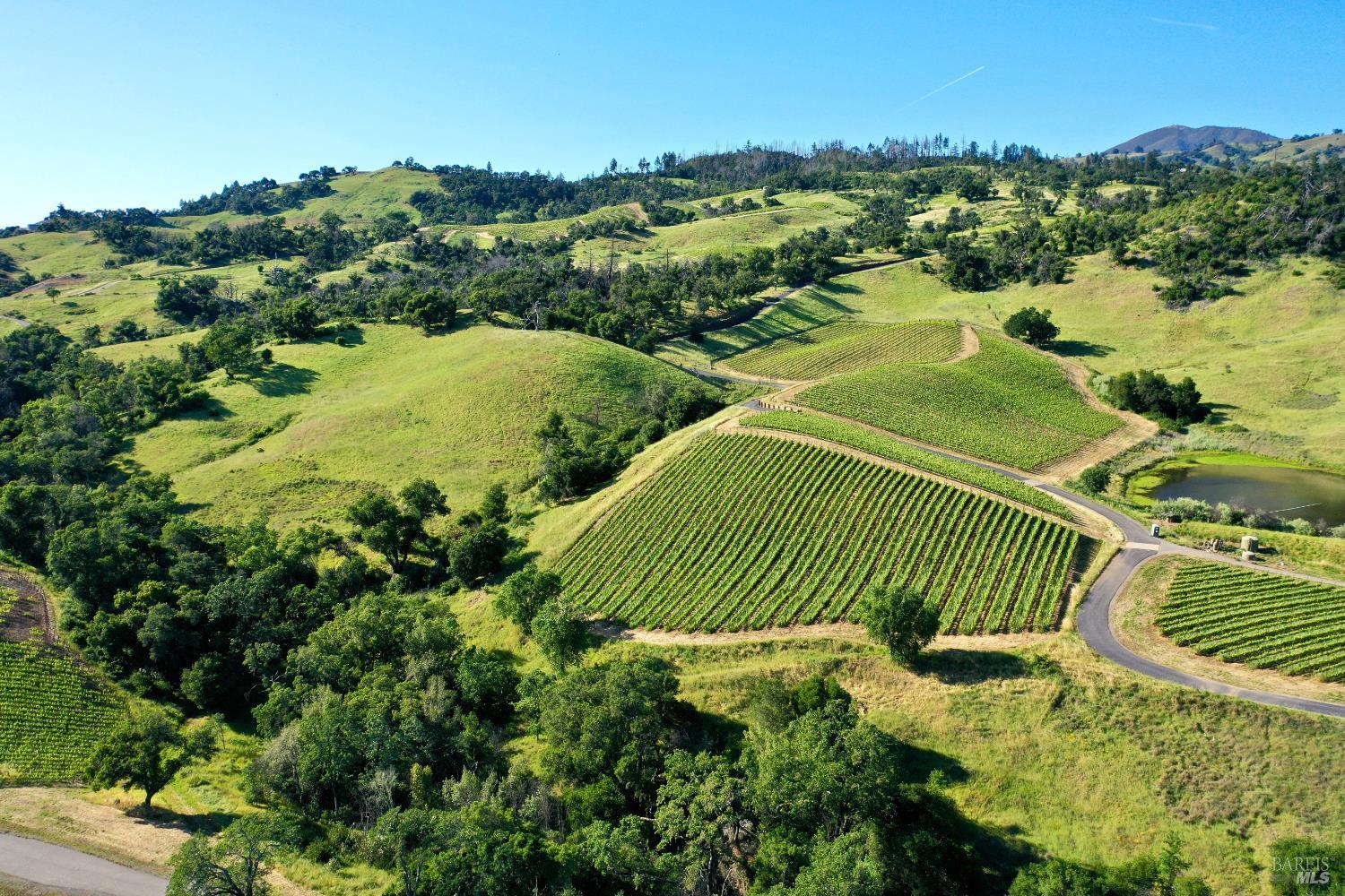Aerial vineyard rows across rolling hills, with a pond and winding access road.