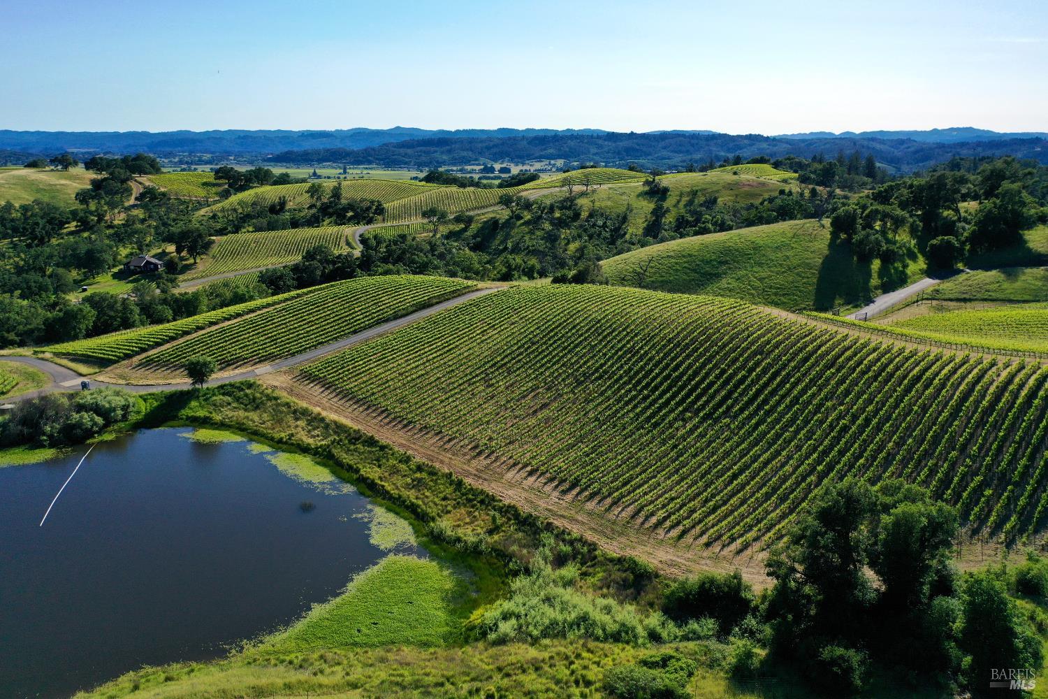 Aerial view of vineyard rows across rolling hills beside a pond.